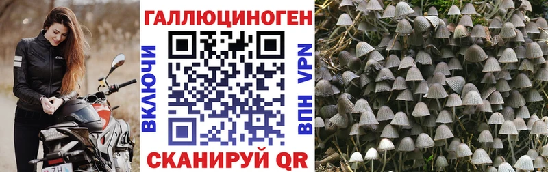 KRAKEN ONION  Шебекино  Галлюциногенные грибы мицелий 