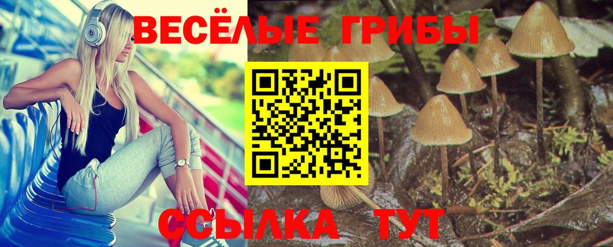 Галлюциногенные грибы прущие грибы Шебекино